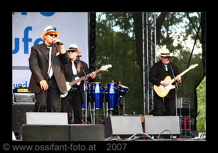 IMG_8305_kl