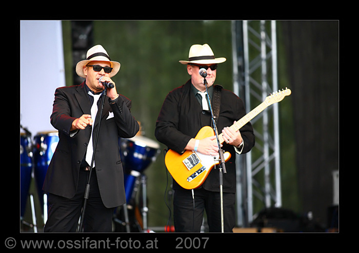 IMG_8311_kl