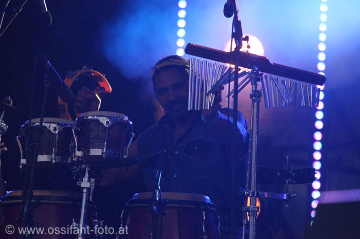 IMG_7884_kl