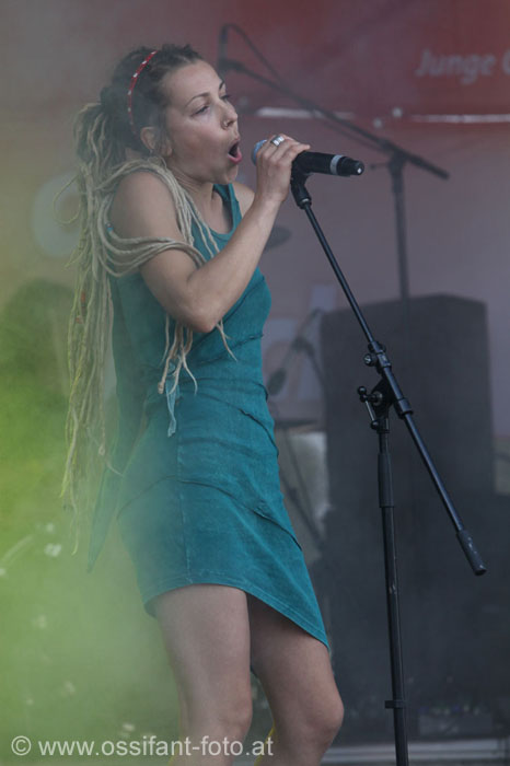 IMG_7658_kl