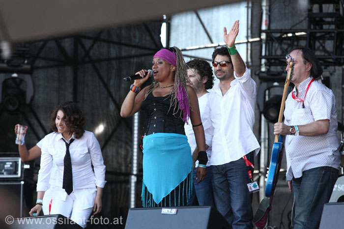 IMG_8134_kl