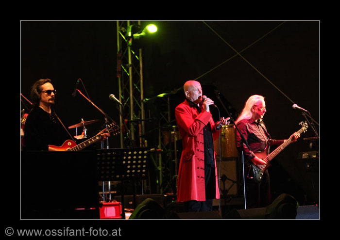 IMG_8798_kl