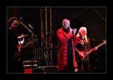 IMG_8793_kl
