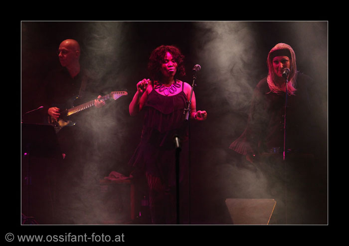 IMG_1533_kl