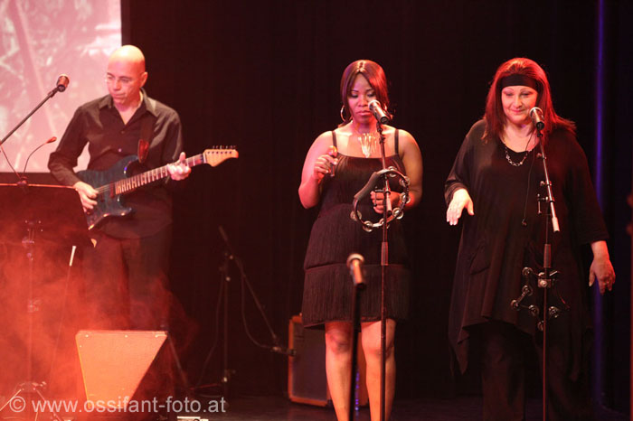 IMG_7096_kl