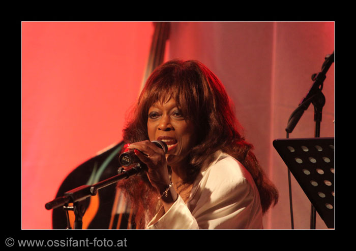 IMG_8254_kl