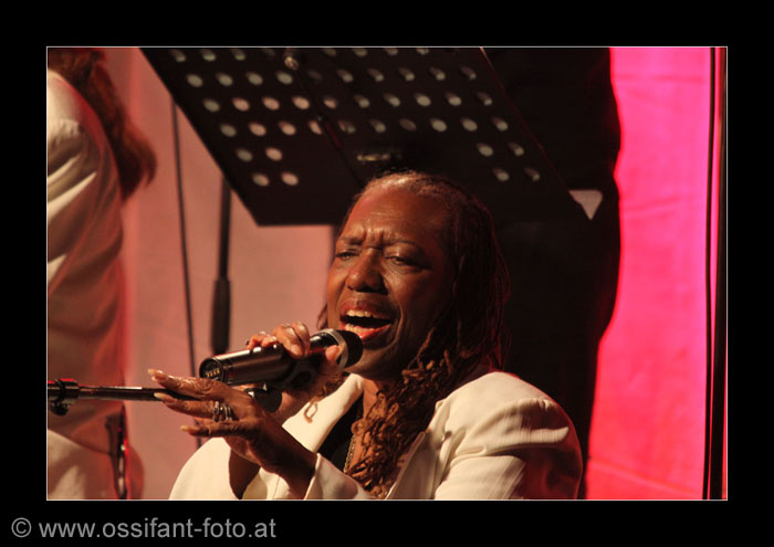IMG_8256_kl