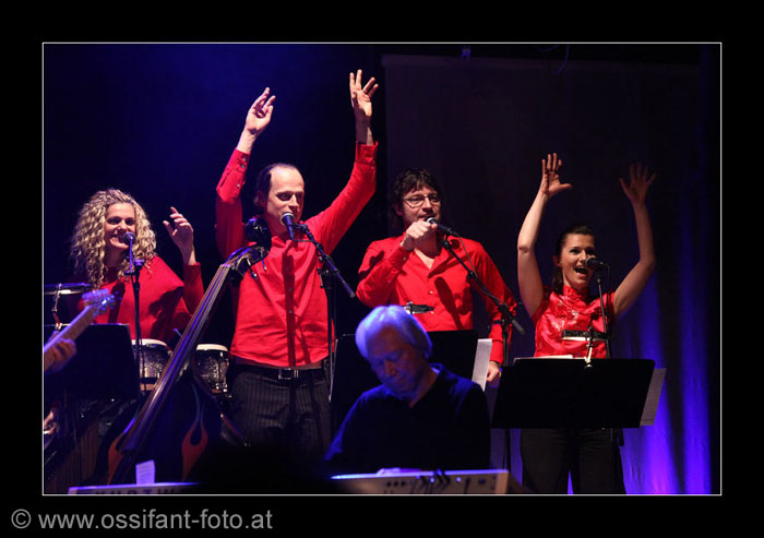 IMG_7281_kl