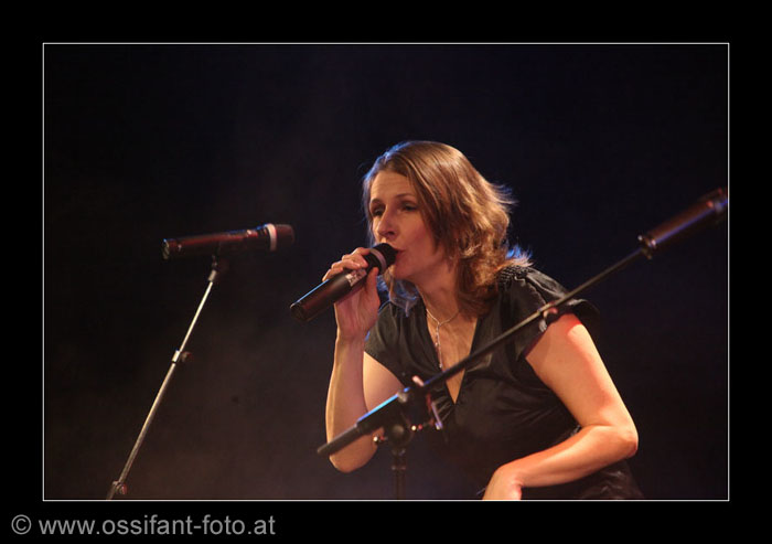 IMG_7781_kl