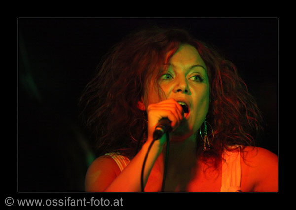 IMG_3486_kl