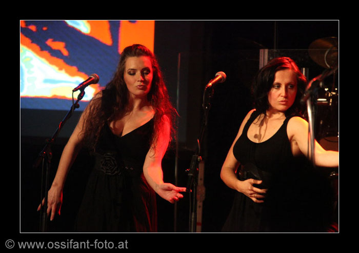 IMG_8524_kl