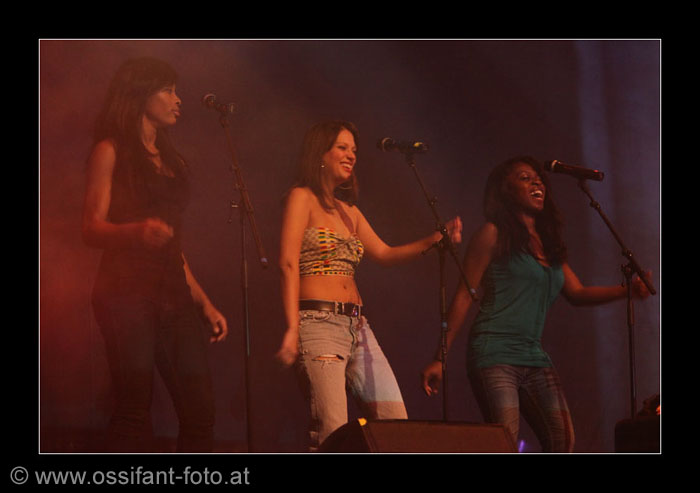 IMG_3146_kl