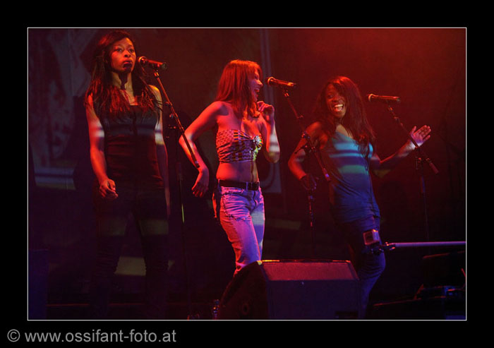 IMG_3450_kl
