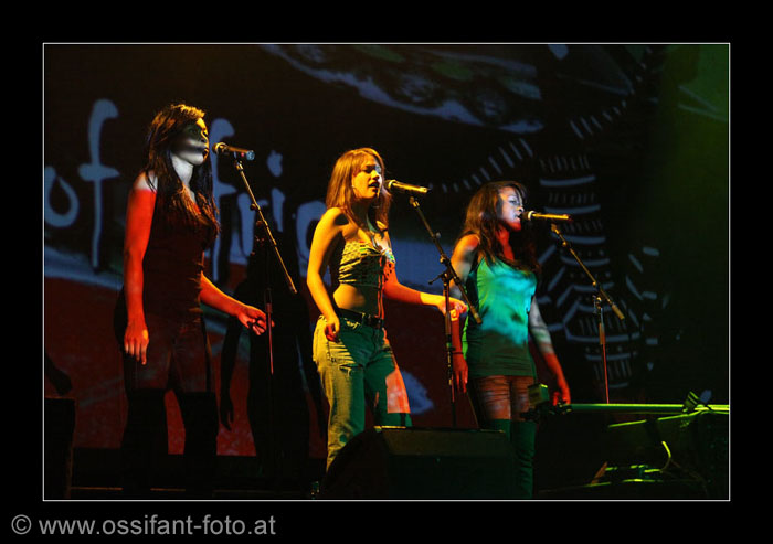 IMG_3473_kl
