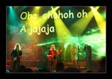 IMG_3407_kl