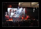 IMG_3426_kl