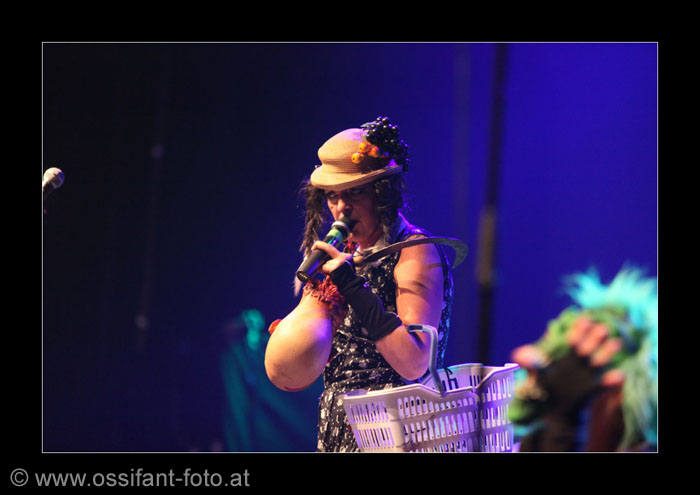 IMG_6041_kl