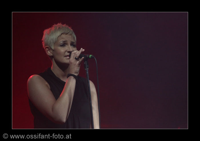 IMG_0347_kl