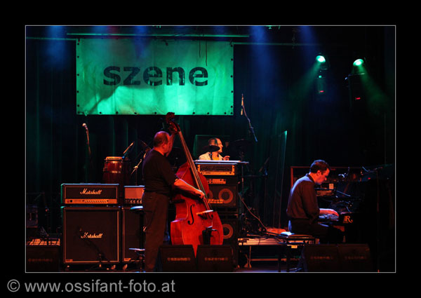 IMG_1686_kl