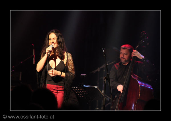 IMG_0687_kl