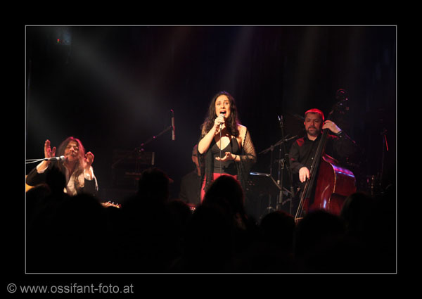 IMG_0688_kl