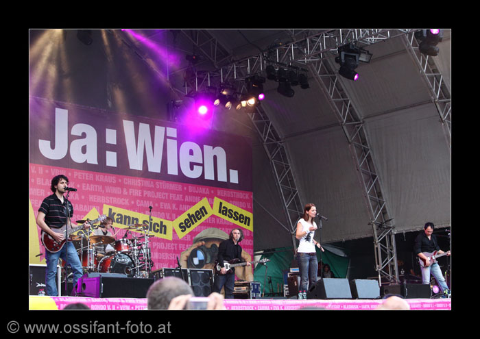 IMG_5729_kl
