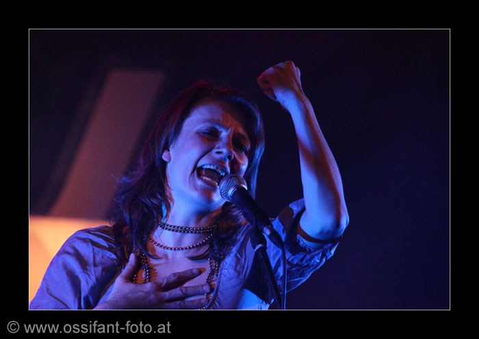 IMG_3950_kl