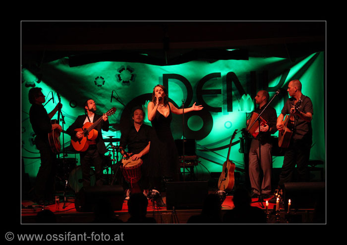 IMG_8512_kl