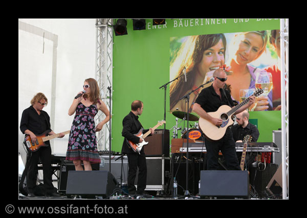 IMG_0355_kl