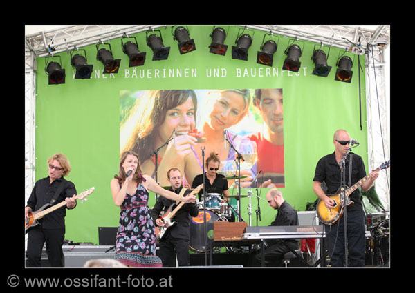 IMG_0370_kl