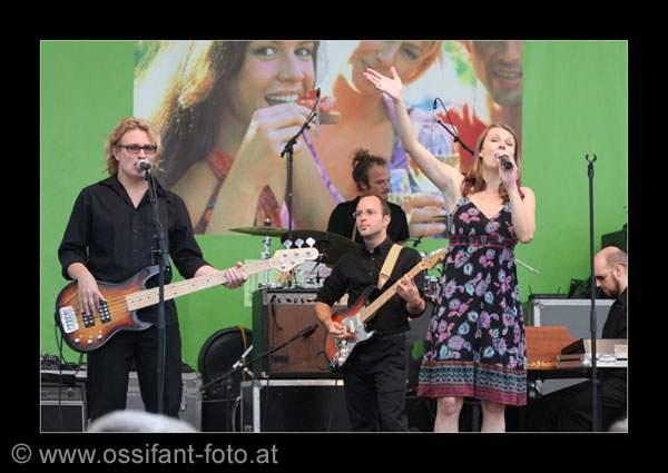 IMG_0393_kl