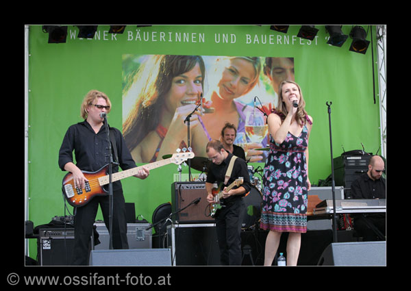 IMG_0429_kl