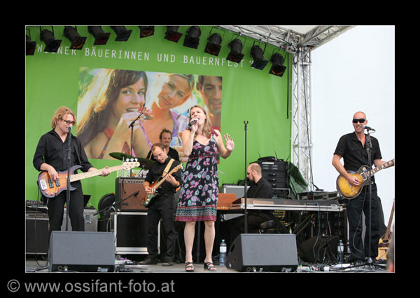 IMG_0460_kl