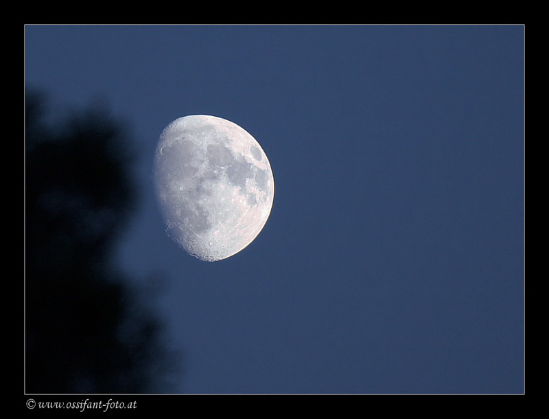 mond2