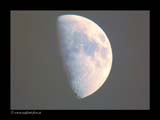 mond3